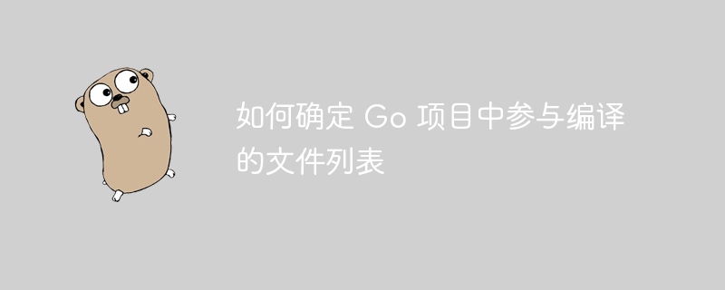 如何确定 Go 项目中参与编译的文件列表
