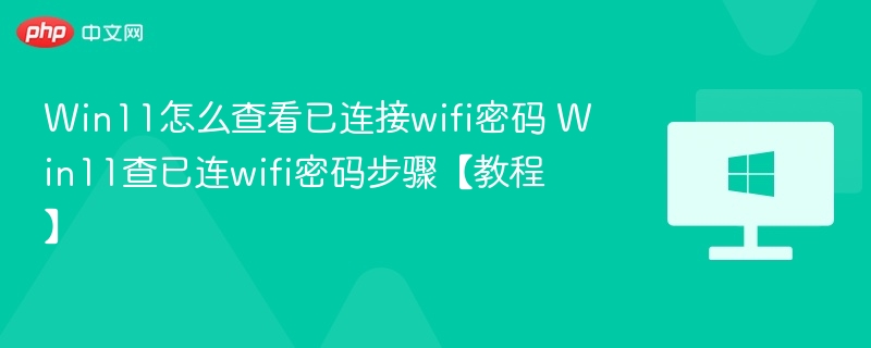Win11怎么查看已连接wifi密码 Win11查已连wifi密码步骤【教程】