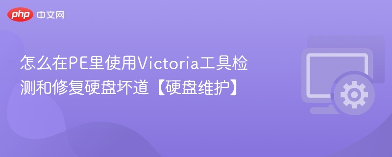 怎么在PE里使用Victoria工具检测和修复硬盘坏道【硬盘维护】