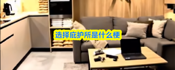 选择庇护所是什么梗-选择庇护所是什么意思