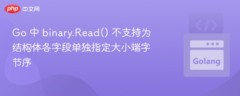 Go 中 binary.Read() 无法单独设置字段字节序