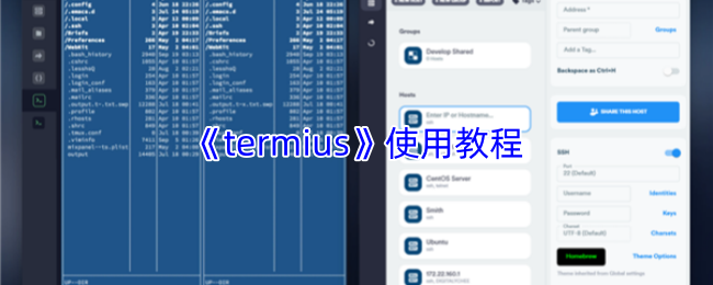 termius怎么用-termius手机版使用教程