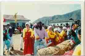 拔草龙是哪个民族的习俗