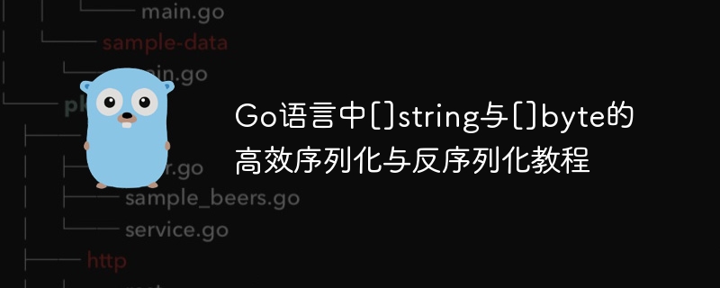 Go中string与byte高效序列化教程