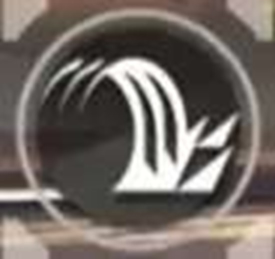 《明日方舟:终末地》洛茜技能介绍