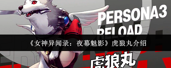 女神异闻录夜幕魅影虎狼丸怎么样-虎狼丸介绍