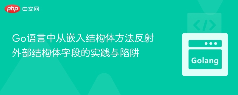 Go语言反射嵌入结构体字段的实践与注意事项