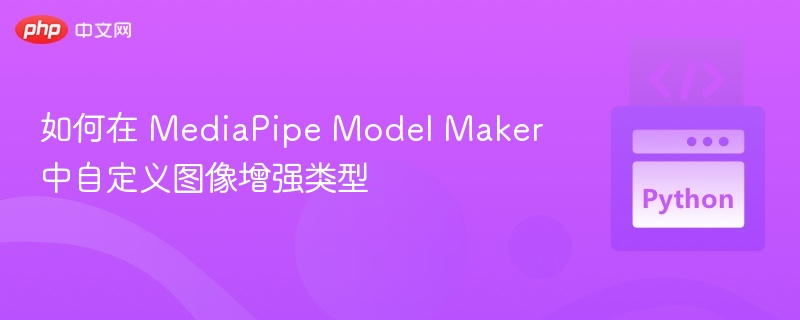 MediaPipe Model Maker 自定义图像增强方法