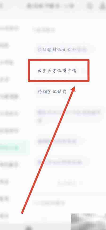 出生医学证明编号查询指南