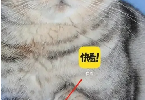 快看漫画自动购买设置教程