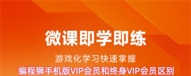 编程狮VIP会员和终身VIP会员有什么区别-VIP会员和终身VIP会员区别