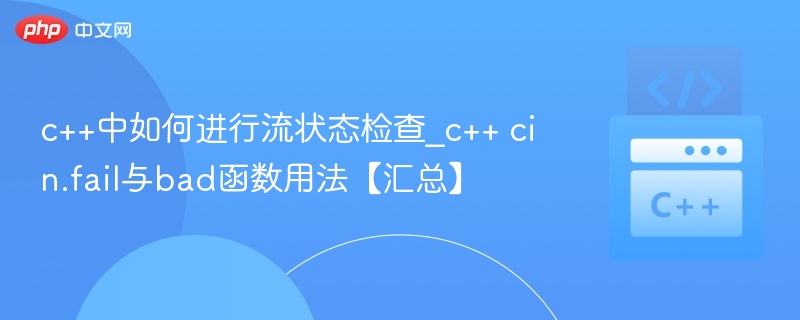 c++中如何进行流状态检查_c++ cin.fail与bad函数用法【汇总】