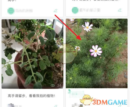 《形色》发布鉴定方法