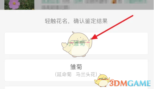 《形色》发布鉴定方法