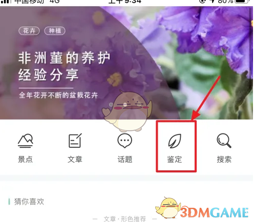 《形色》鉴定技巧全解析