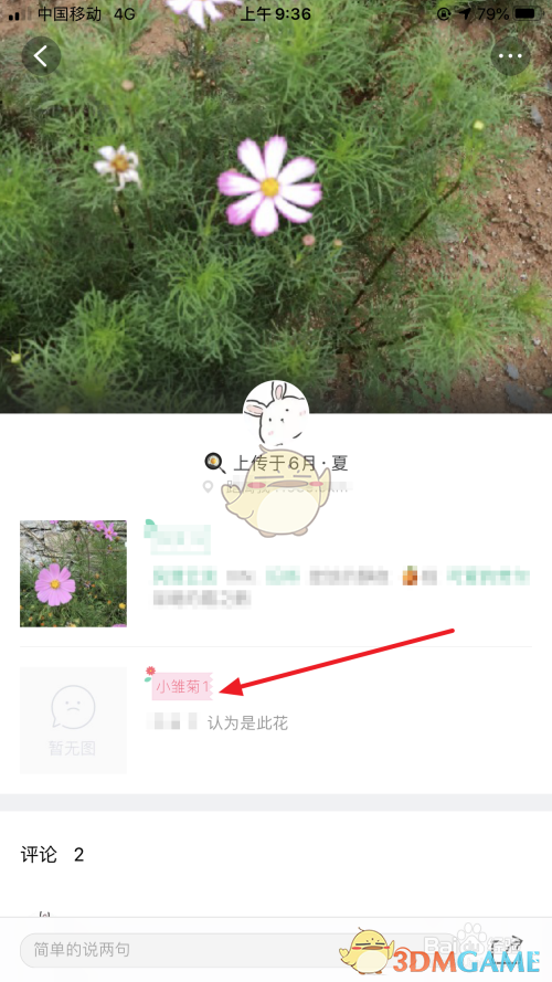 《形色》发布鉴定方法