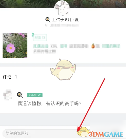 《形色》发布鉴定方法