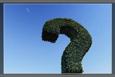 抖音转发别人的作品别人能看见吗？分享别人的抖音会被发现吗