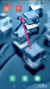 海底捞App解绑手机号教程