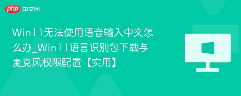 Win11无法使用语音输入中文怎么办_Win11语言识别包下载与麦克风权限配置【实用】