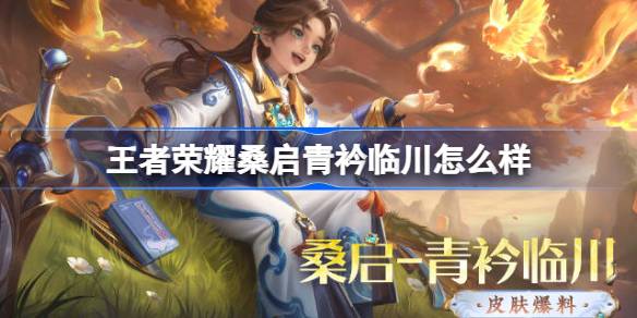 桑启青衿临川皮肤价格及获取方法