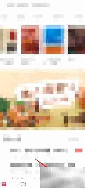 凤凰书苑书币充值方法