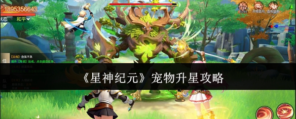 星神纪元宠物怎么升星-宠物升星攻略