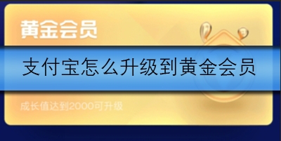 支付宝黄金会员怎么升级