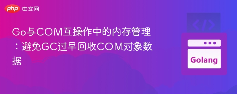 Go与COM互操作内存管理技巧