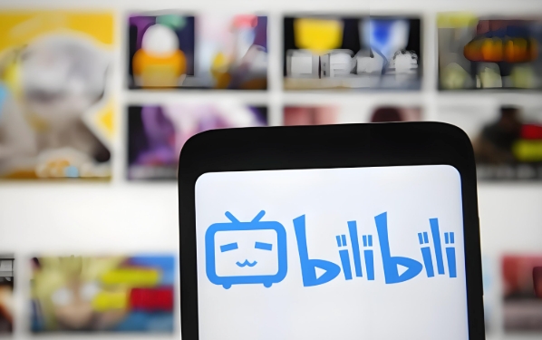 bilibili大会员手机端充值官网-bilibili大会员官方购买中心