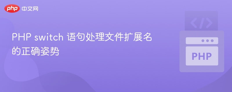 PHP switch 处理文件扩展名的正确方法