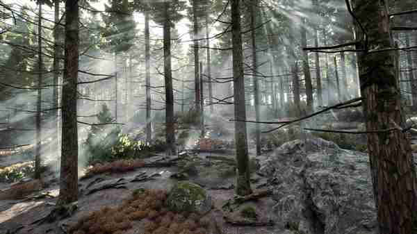 双十二装备升级指南：华硕RTX50系显卡选购攻略