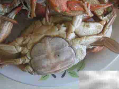 河蟹食用安全判断方法