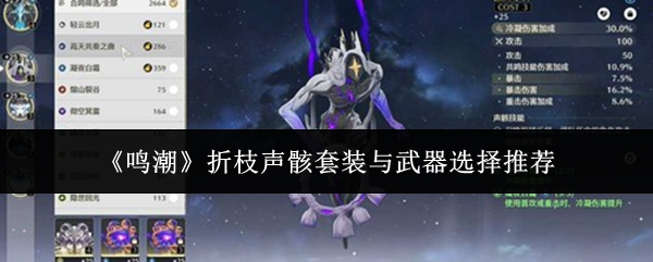 鸣潮折枝声骸套装与武器怎么选-折枝声骸套装与武器选择推荐