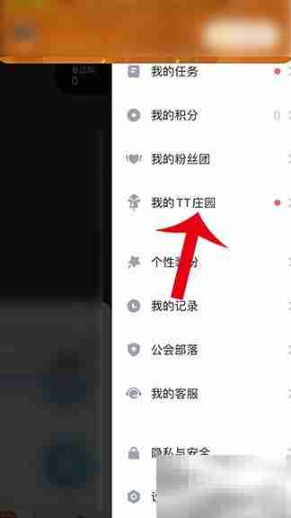 如何进入TT语音的庄园