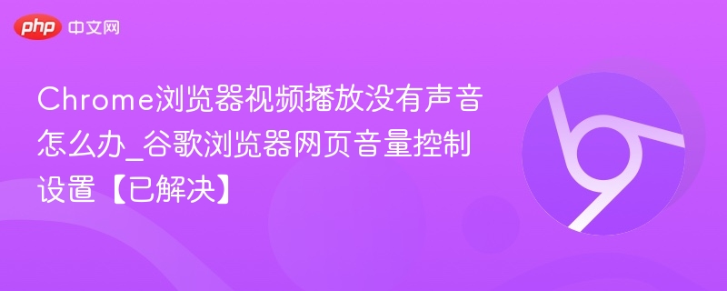 Chrome浏览器视频播放没有声音怎么办_谷歌浏览器网页音量控制设置【已解决】