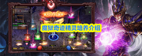 魔狱奇迹精灵怎么培养-精灵培养介绍