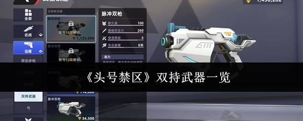 《头号禁区》双持武器一览