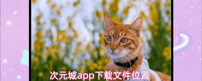 次元城app下载文件位置
