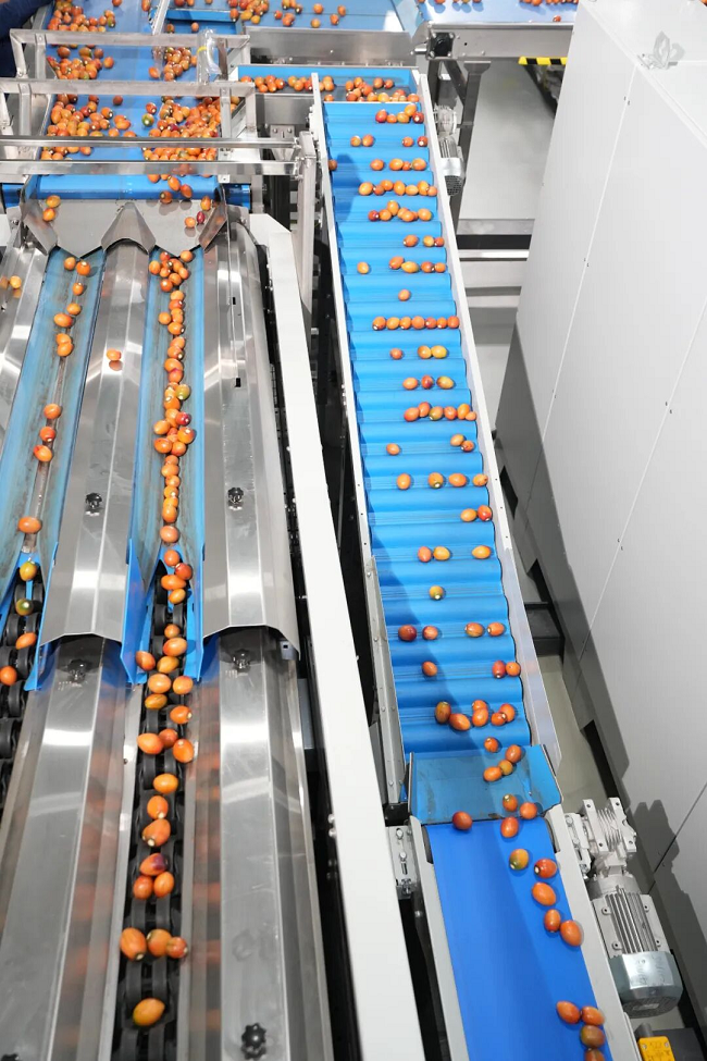 云上营家：“从田间到餐桌”，一场由数字与实体交织的产业维新