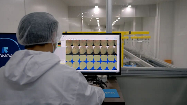 云上营家：“从田间到餐桌”，一场由数字与实体交织的产业维新