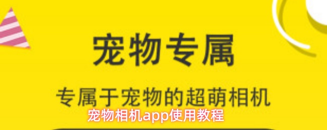 宠物相机app怎么用-使用教程