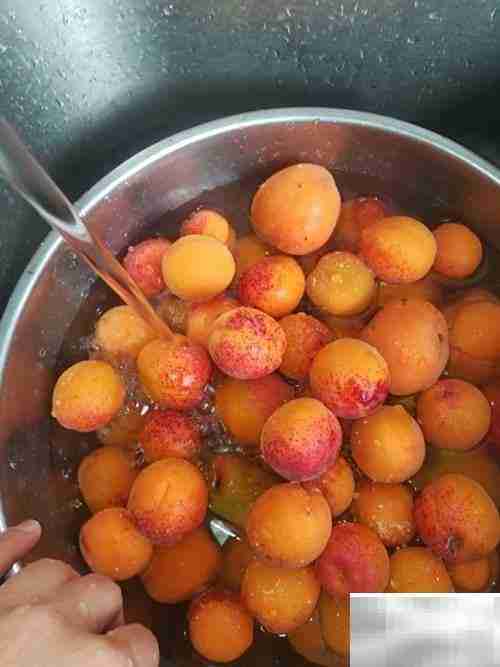 挑杏吃杏小妙招