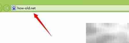 how old net使用指南