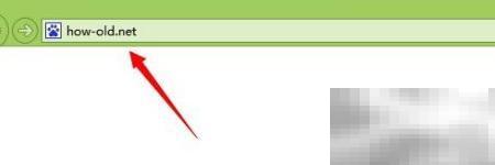 How Old Net使用教程及玩法解析