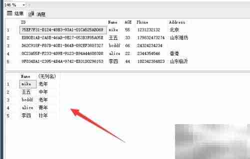 select语句中if的使用技巧