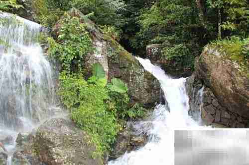 平和灵通岩一日游