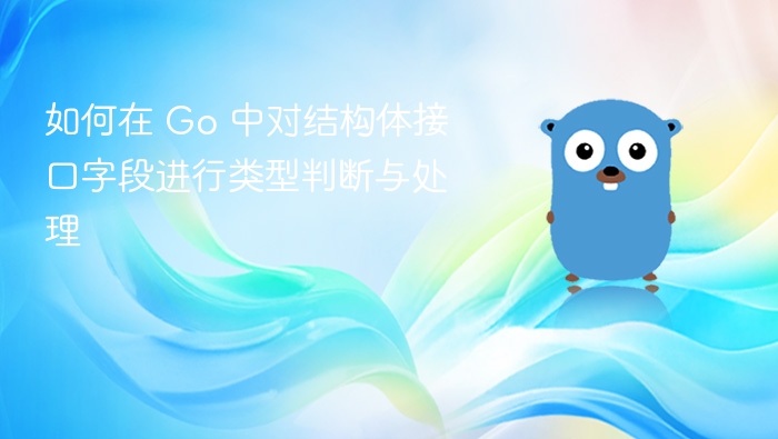 如何在 Go 中对结构体接口字段进行类型判断与处理
