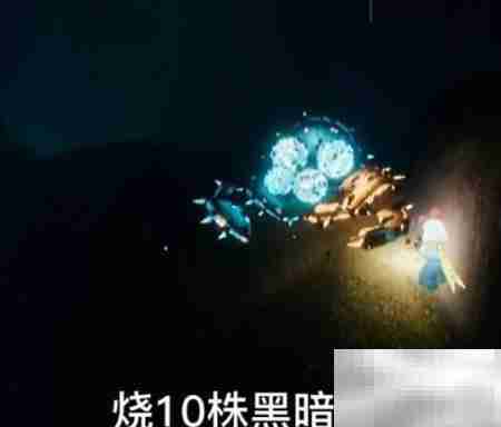 光遇2.22日常任务速通指南