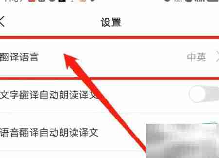 彩云小译语言设置指南